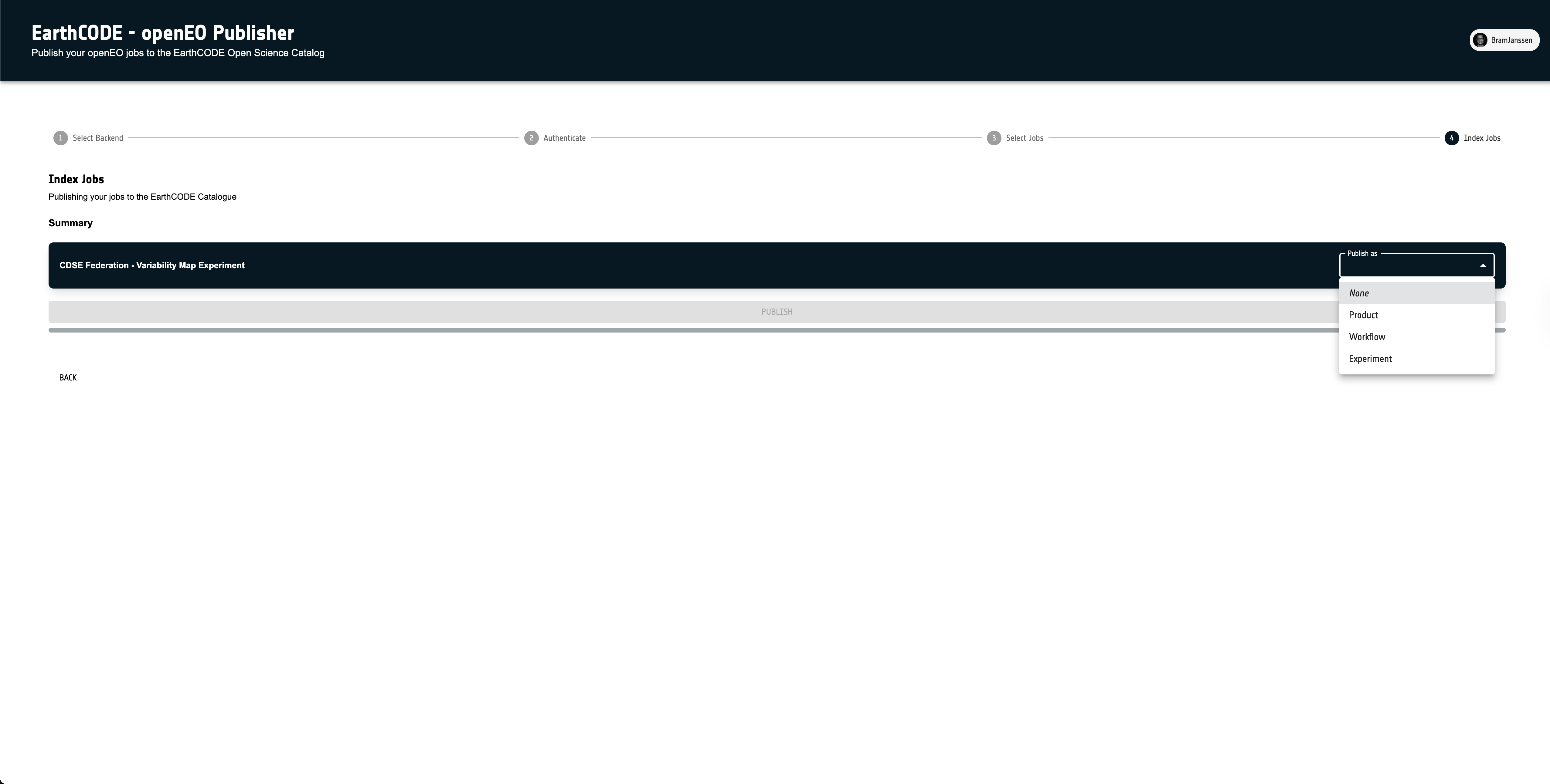 openEO Publishing Tool - Publication Selection